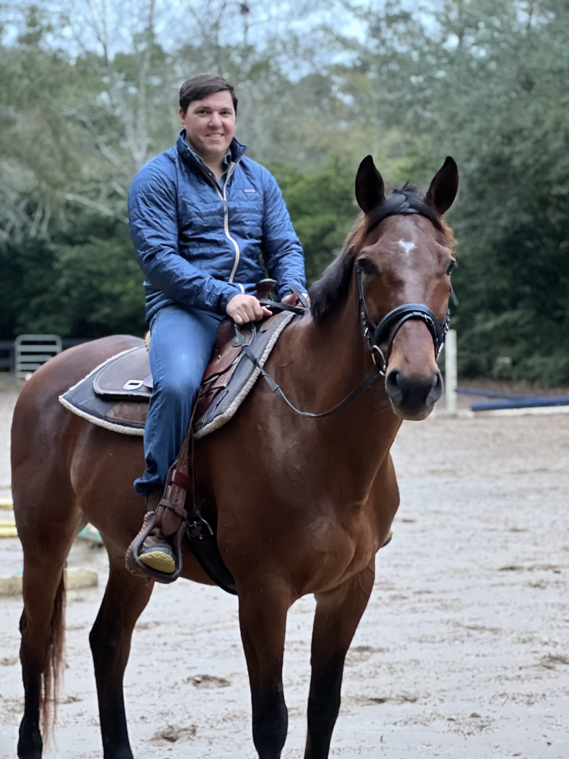 if-you-give-a-horse-a-carrot-when-are-visitors-covered-by-the-equine